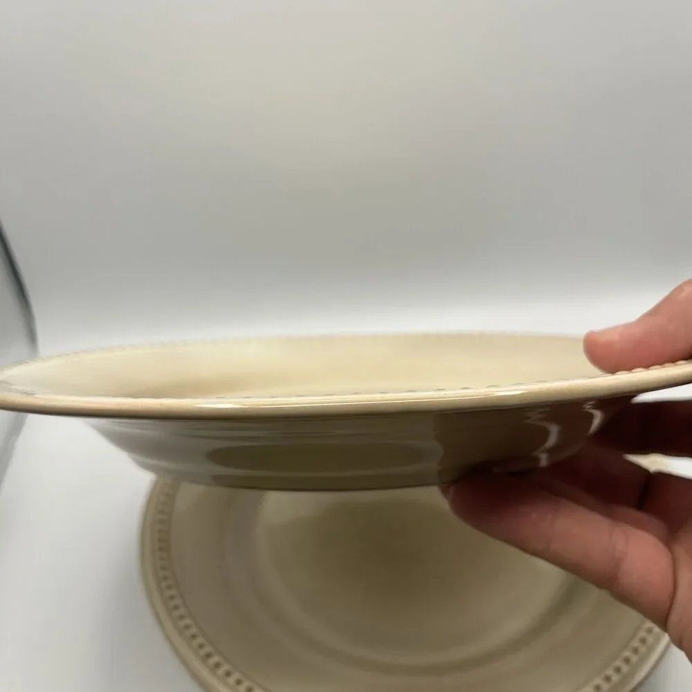 3 Pier 1 Imports- SPICE ROUTE - SESAME - 10-3/4” Round Dinner Plates
